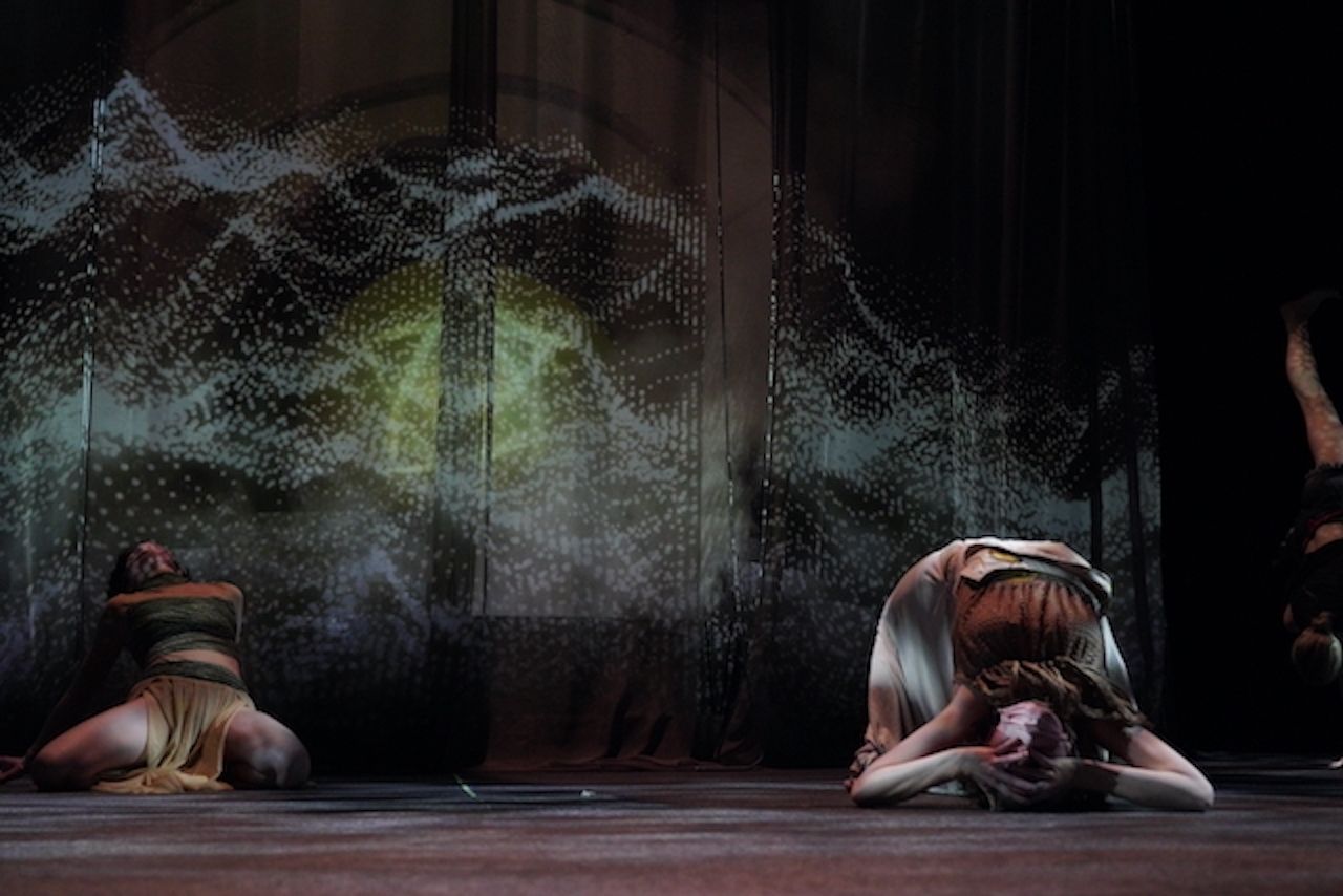 Oedipus the King_pandemic version — image 8