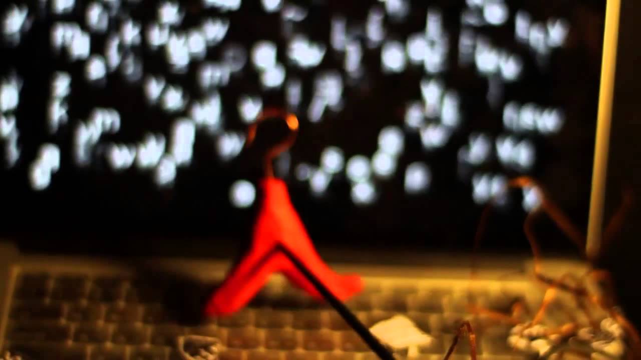 Thinker — production image